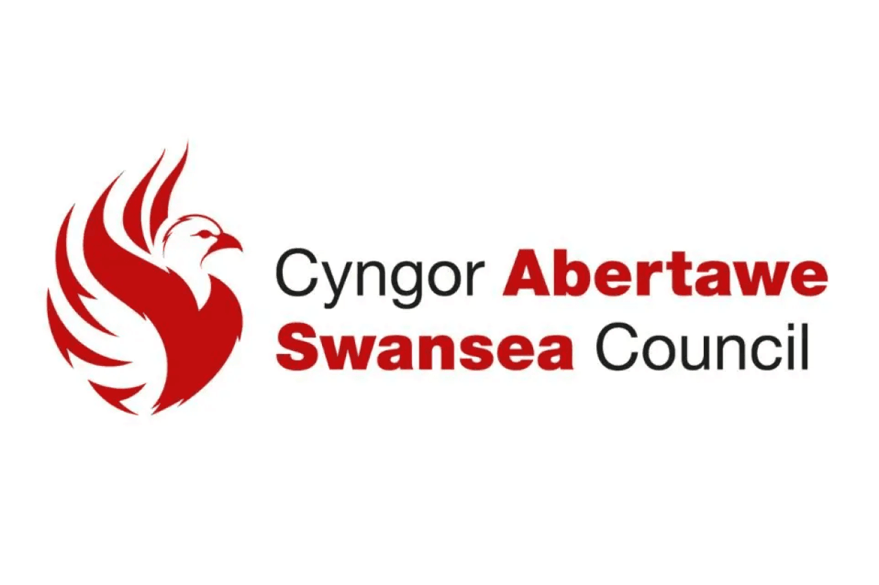 Swansea Council film